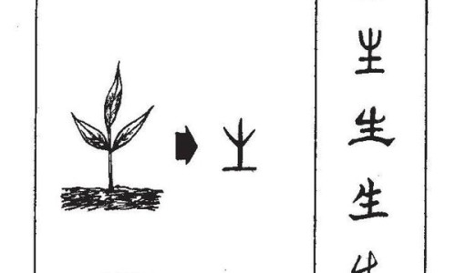 蟹的功效与作用及食用方法-权威螃蟹药用价值功效平台,分享专业蟹的功效与副作用知识_蟹的药用网
